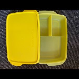 NEW TUPPERWARE LUNCH-IT® LARGE ECO + CONTAINER.